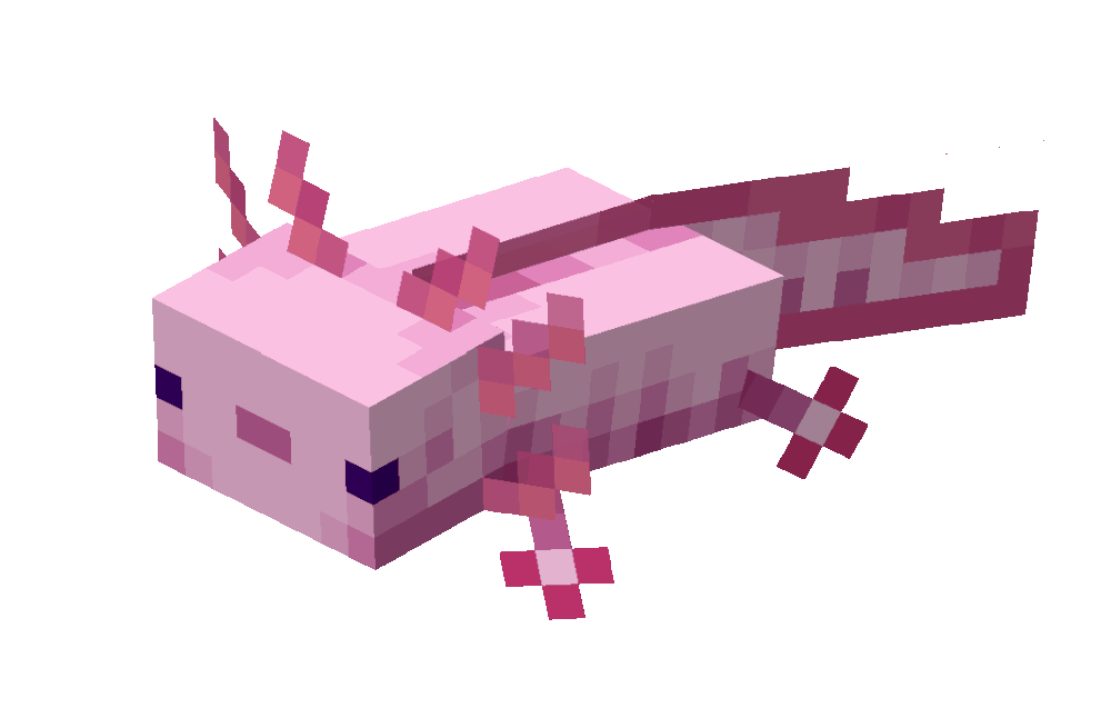 Axolotl